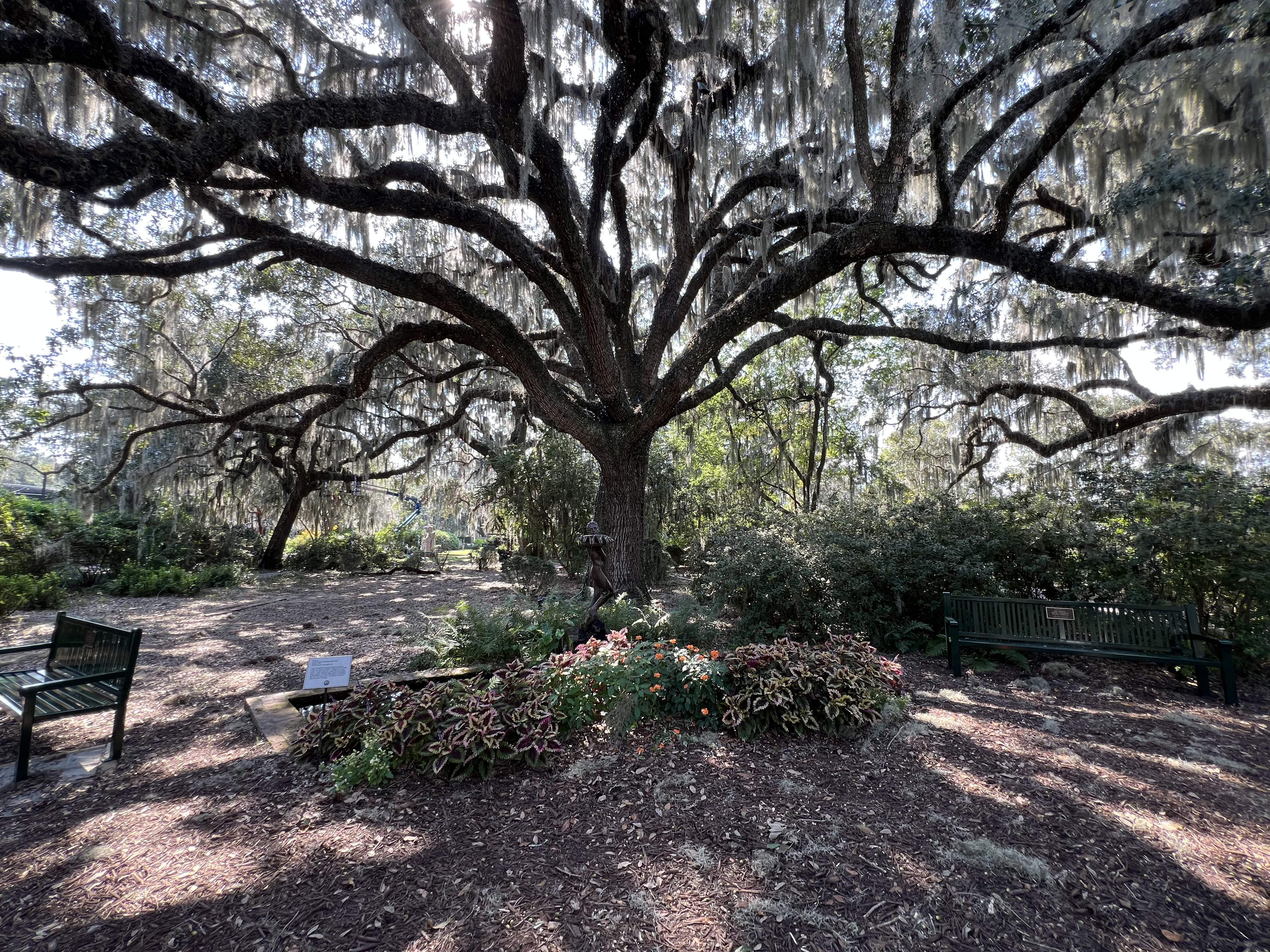 ./2024/10 - Myrtle Beach/IMG_3047.jpg